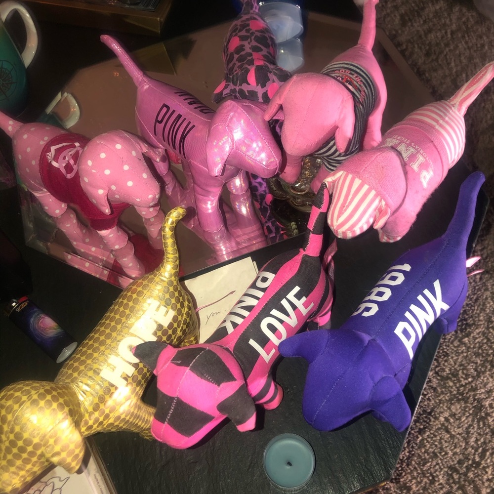 Eight Victoria’s Secret PINK dogs